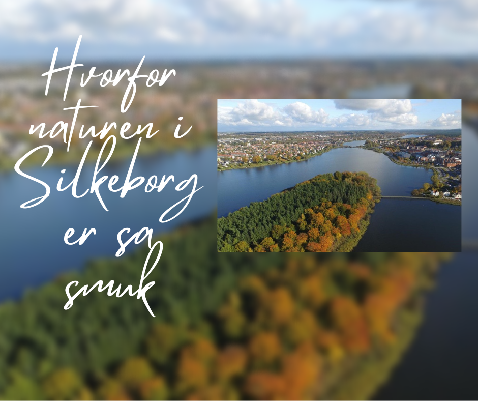 Hvorfor naturen i Silkeborg er så skøn